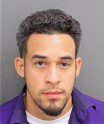 Henriquezvidal Emmanuel - Orange County, FL 