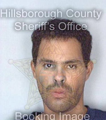 Velez Steven - Hillsborough County, FL 