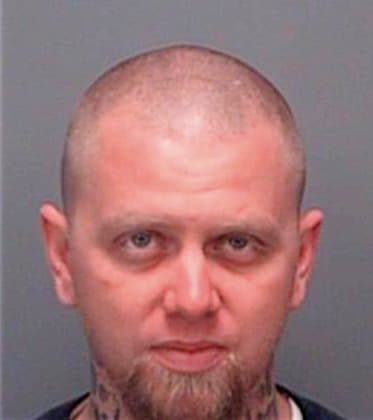 Simpson Aaron - Pinellas County, FL 