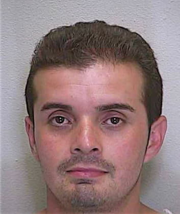 Hernandez Alvaro - Marion County, FL 