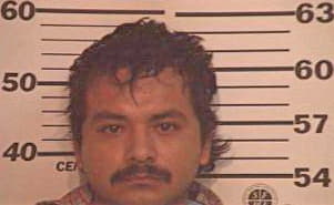 Meza Javier - Hidalgo County, TX 