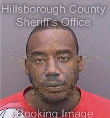 Lucas Rashidi - Hillsborough County, FL 