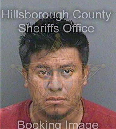 Fransisco Sanchez - Hillsborough County, FL 