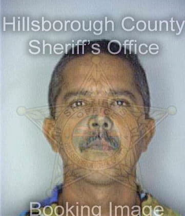 Lozada Hector - Hillsborough County, FL 