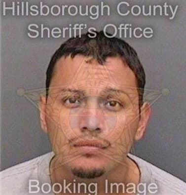 Gonzalezmartinez Jose - Hillsborough County, FL 
