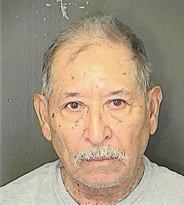 Becerra-Flores Juan - Charleston County, SC 