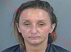 Chastain Sandra - Anderson County, SC 