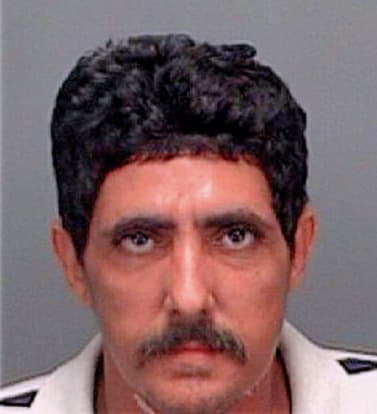 Guzmangonzalez Carlos - Pinellas County, FL 