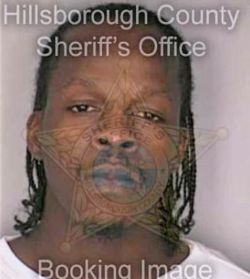 Williams Michael - Hillsborough County, FL 