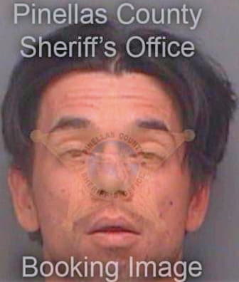 Minier Robert - Pinellas County, FL 