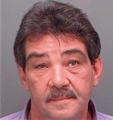 Andrews Ross - Pinellas County, FL 