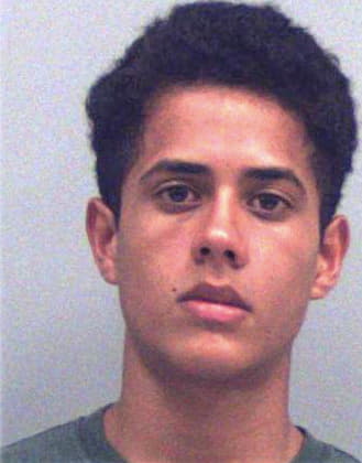 Hernandez Carlos - Gwinnett County, GA 