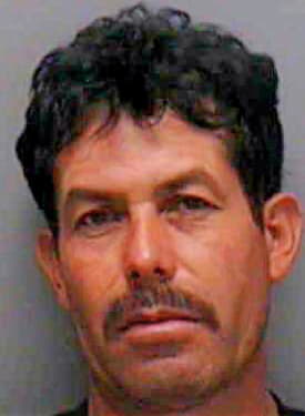 Marquez-Pacheco Clemente - Lee County, FL 