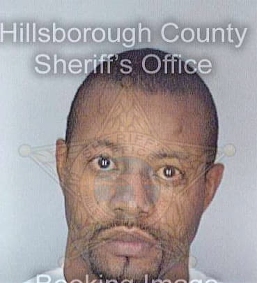 Henry Devon - Hillsborough County, FL 