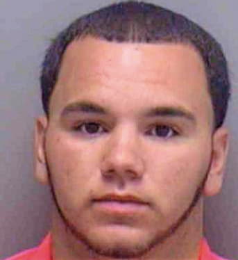 Perez Gerardo - Lee County, FL 