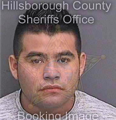 Silvareyes Mariano - Hillsborough County, FL 