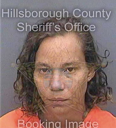 Davis Tamika - Hillsborough County, FL 