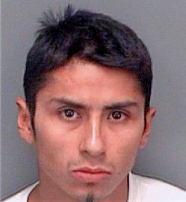 Torres Antonio - Pinellas County, FL 