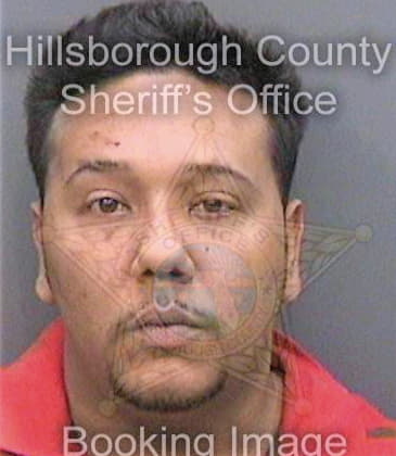 Munettdaviu Jose - Hillsborough County, FL 