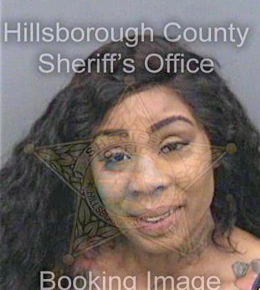 Perry Lillie - Hillsborough County, FL 