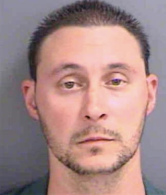 Dipascale Paul - Collier County, FL 