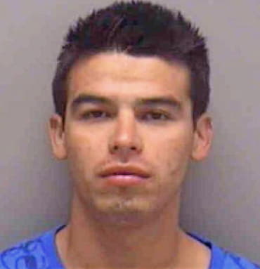 Mejia Sergio - Lee County, FL 