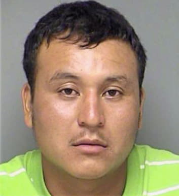 Gonzalez-Moreno Alejandro - Denton County, TX 