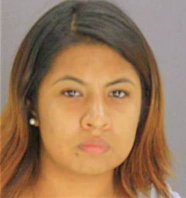 Diazchavez Ilse - Dallas County, TX 