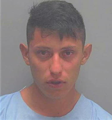 Catalano Nicholas - Lee County, FL 