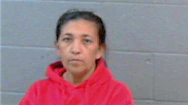 Delgado Rosa - Wichita County, TX 