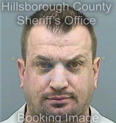 Newman Shawn - Hillsborough County, FL 