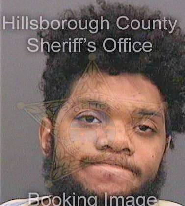 Knowles Shi - Hillsborough County, FL 