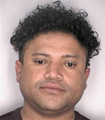 Romero Elvys - Hillsborough County, FL 