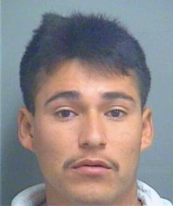 Sanjuan Hector - PalmBeach County, FL 