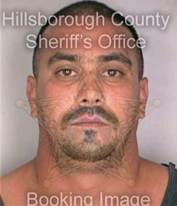 Paduaserrano Adrian - Hillsborough County, FL 