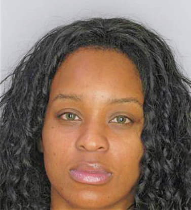 Fleming Alnekea - Hillsborough County, FL 