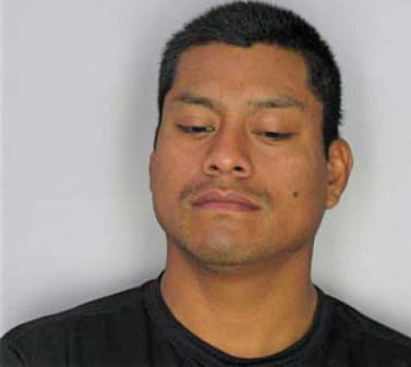 Mejia Delfino - Hillsborough County, FL 