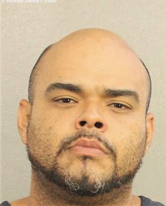 Gonzalez Joel - Broward County, FL 