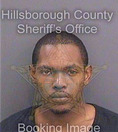 Townsend Justin - Hillsborough County, FL 