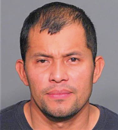 Mejia Luis - Wake County, NC 