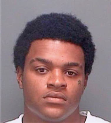 Marry Ray - Pinellas County, FL 