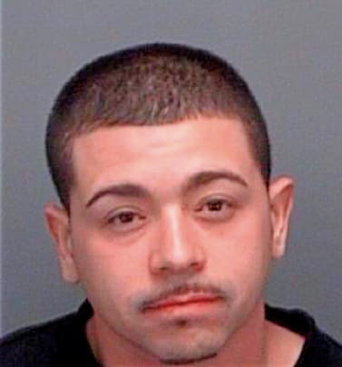 Baez Robert - Pinellas County, FL 