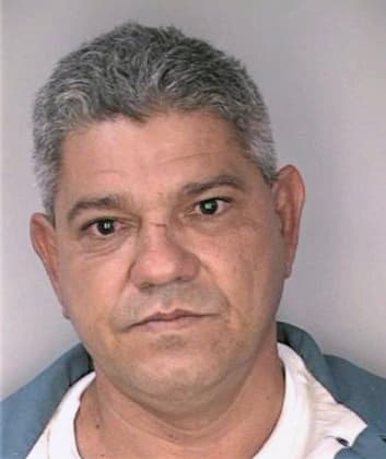 Alvarezpupa Francisco - Hillsborough County, FL 