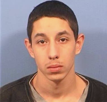 Petrovic Brandon - DuPage County, IL 
