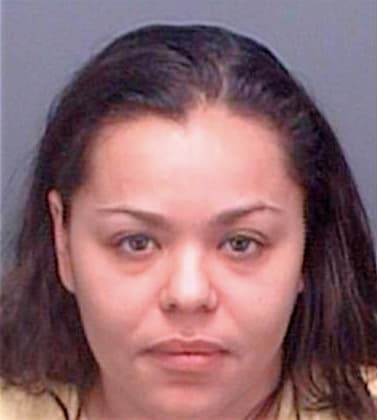 Blandford Renee - Pinellas County, FL 