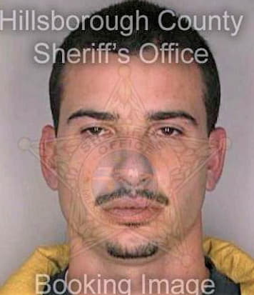 Merrill Shaun - Hillsborough County, FL 