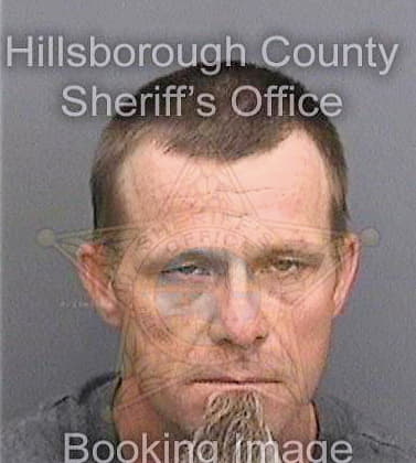 Ellison David - Hillsborough County, FL 