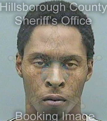 Hudson Demario - Hillsborough County, FL 