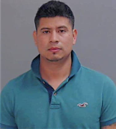 Flores Diego - Hidalgo County, TX 