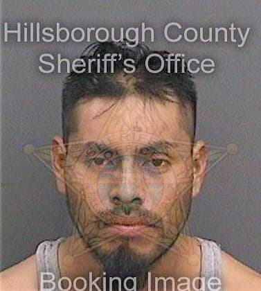 Castrosantiago Felix - Hillsborough County, FL 